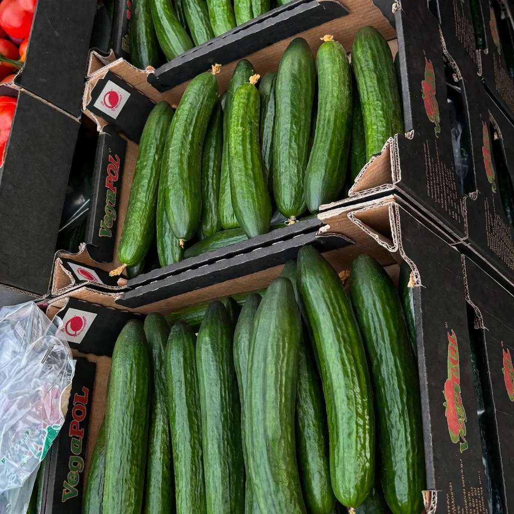 🥒 🇵🇱Ogórek szklarniowy - obrazek 2