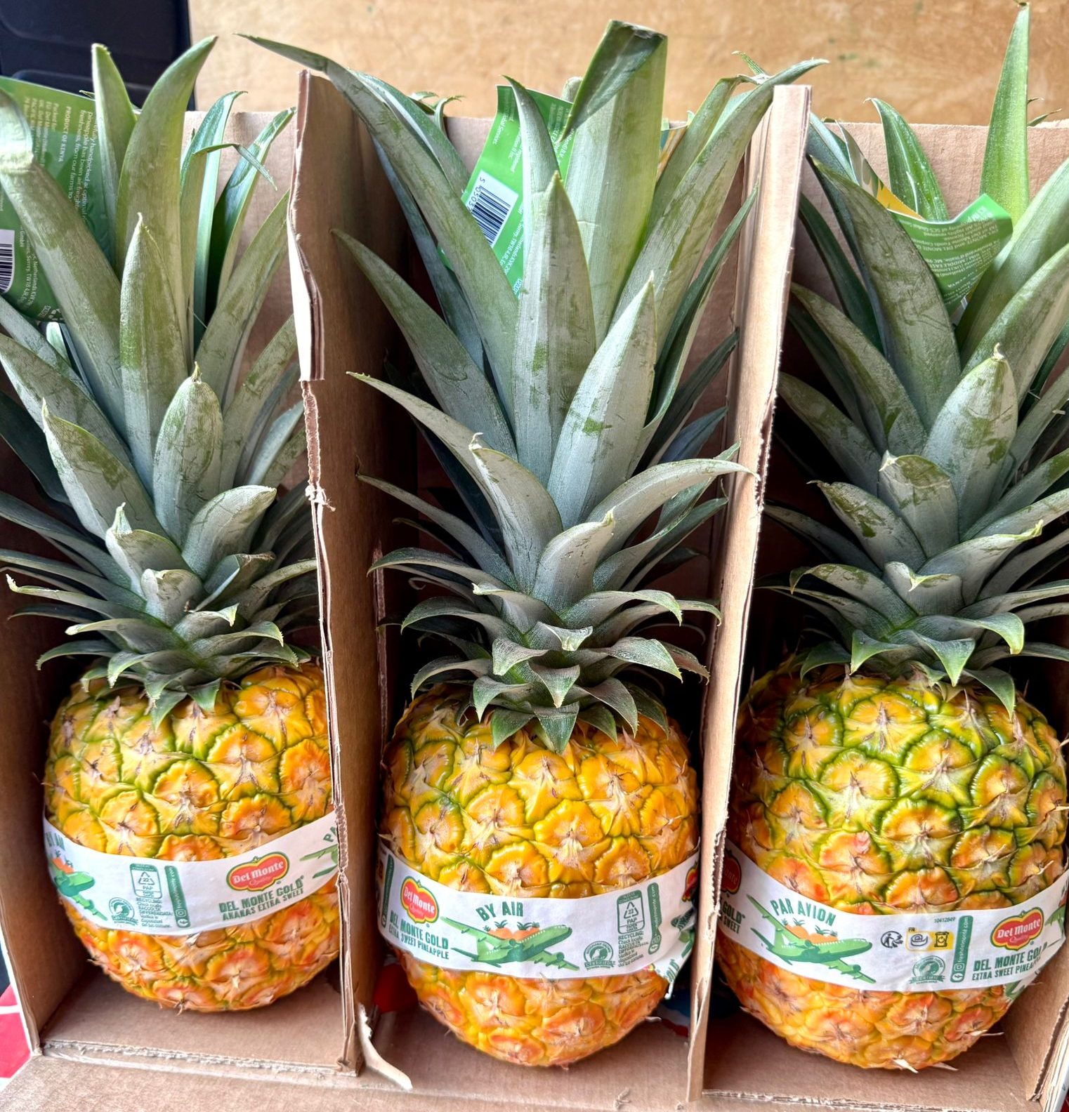 Ananas królewski lotniczy - obrazek 2