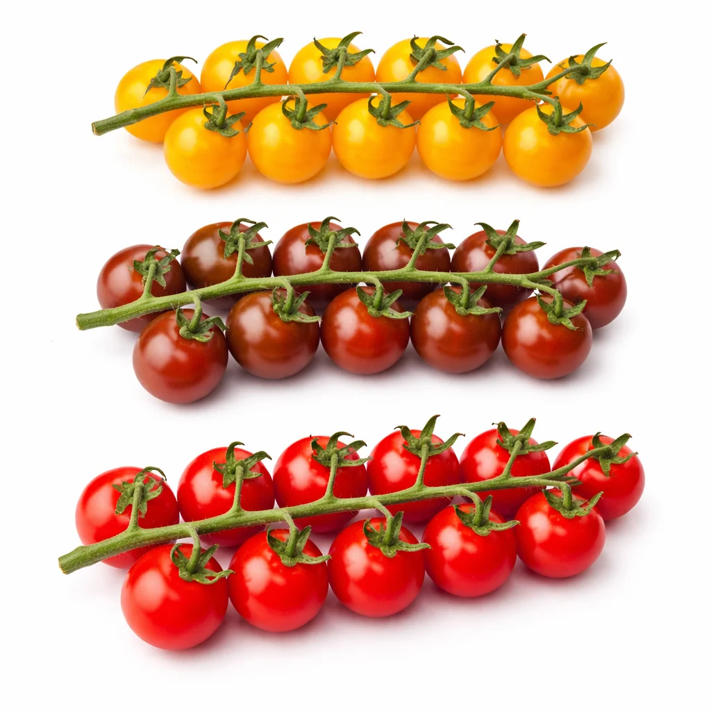 🍅✨ Pomidorki koktajlowe mix – kolorowe, słodkie i pełne smaku