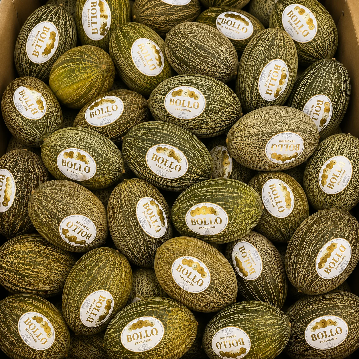 🍈✨ Melon Valencia ok.3kg - obrazek 2