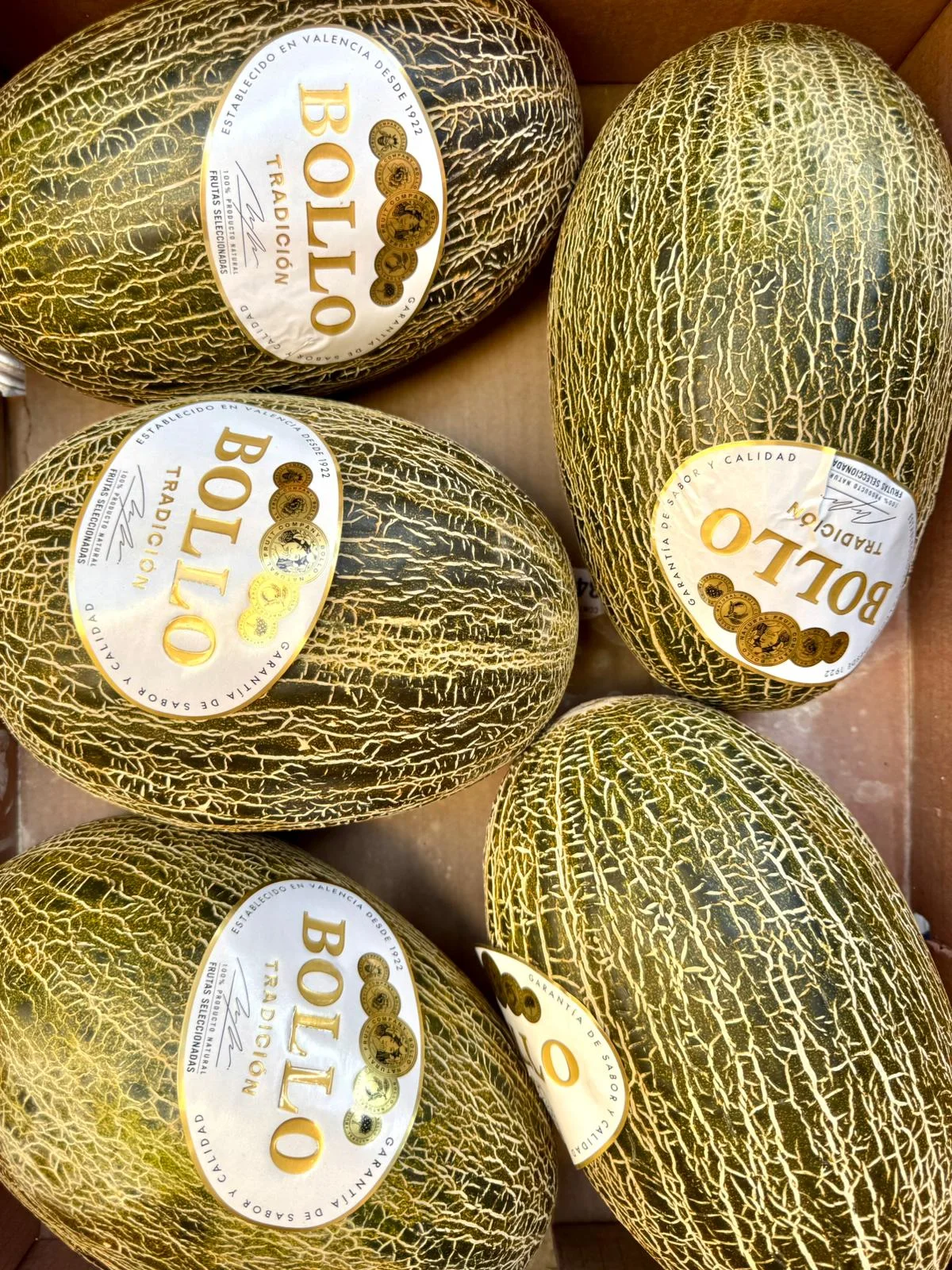 🍈✨ Melon Valencia ok.3kg - obrazek 3