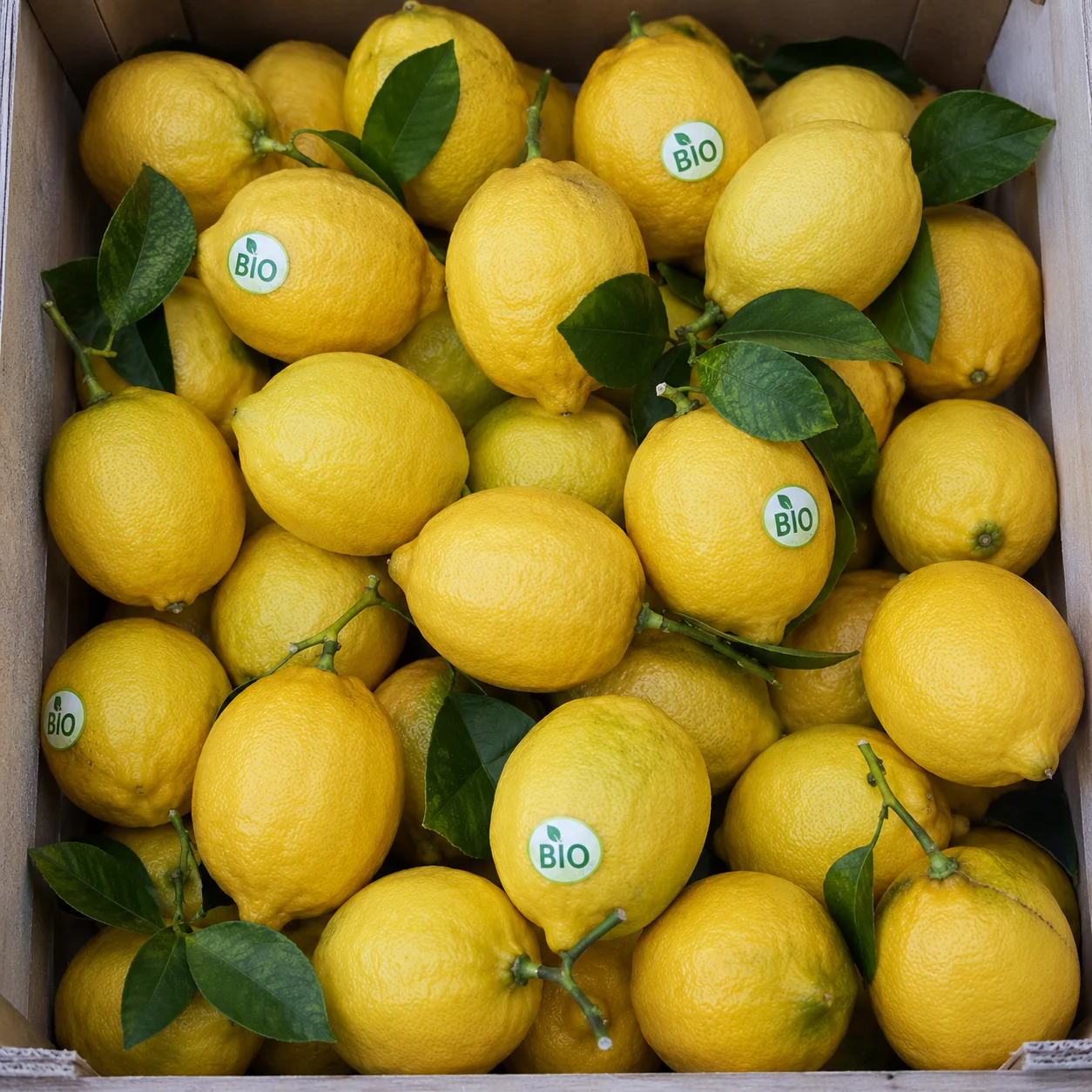 🍋🌿 Cytryna BIO