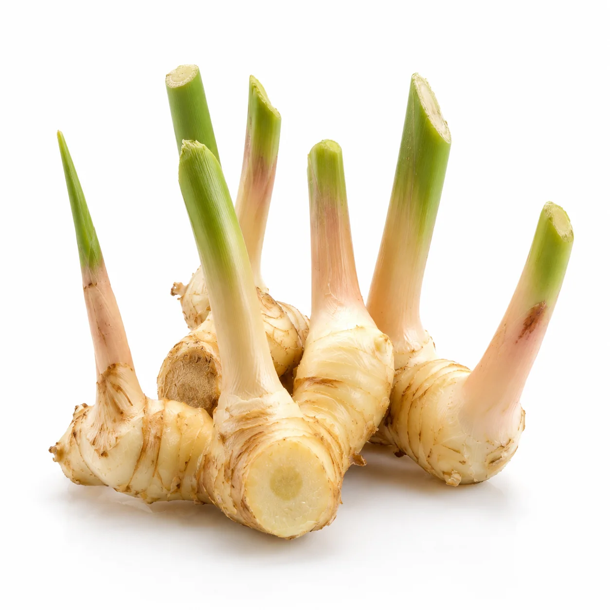 🌿 Galangal świeży