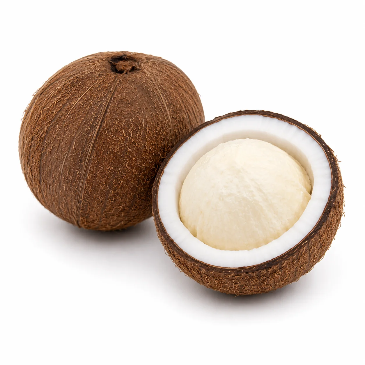 🥥🌱 Kokos Kiełkujący