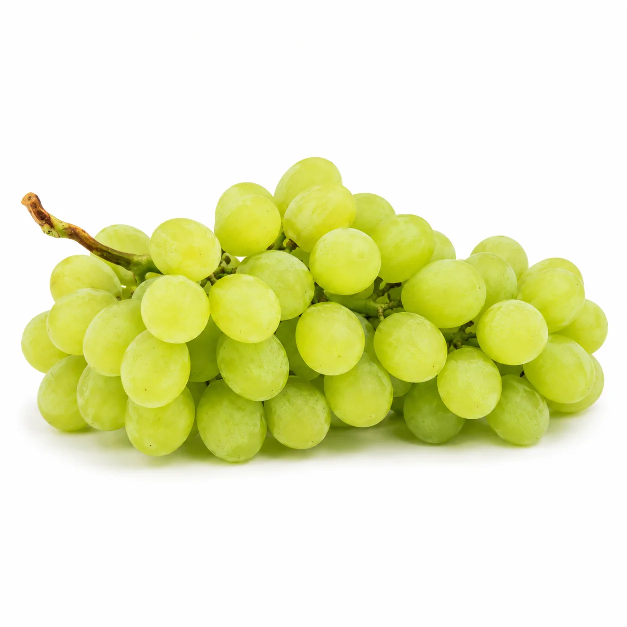 🍇✨ WINOGRON JASNY CHRUPIĄCY