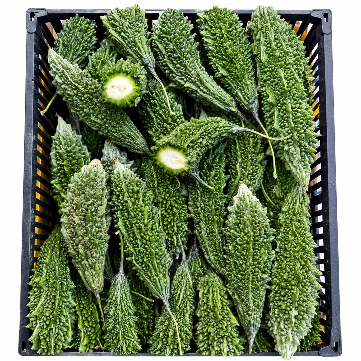 🌿 GORZKI MELON -Bitter Melon - obrazek 2