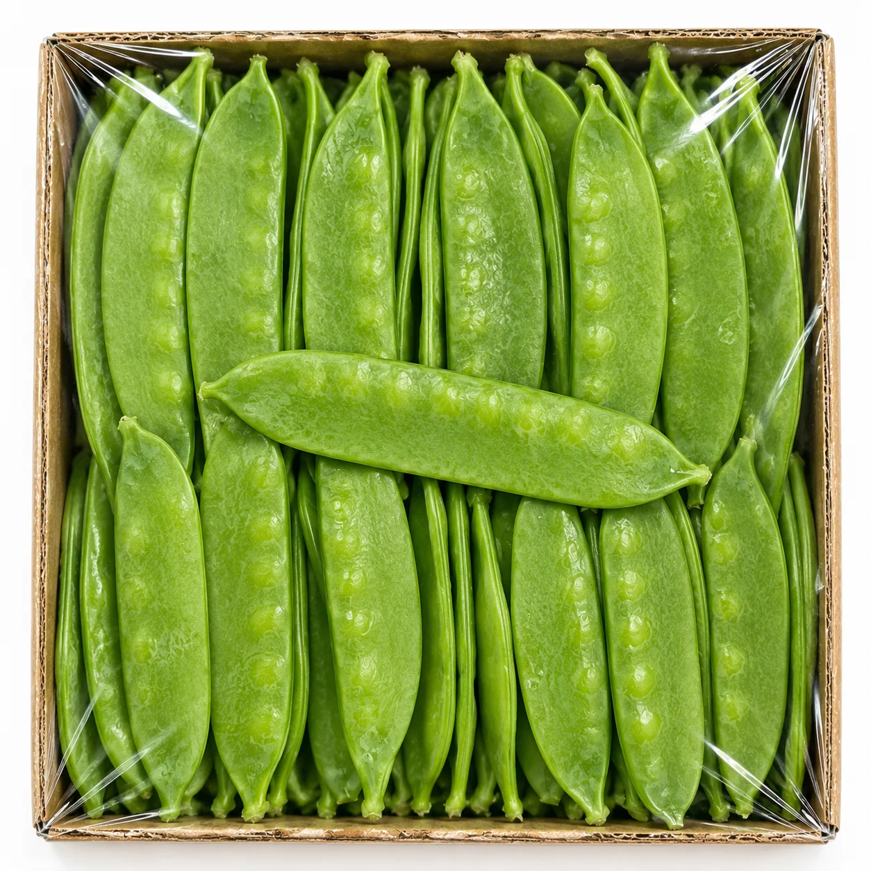 🫛💚 GROSZEK CUKROWY PŁASKI 250g