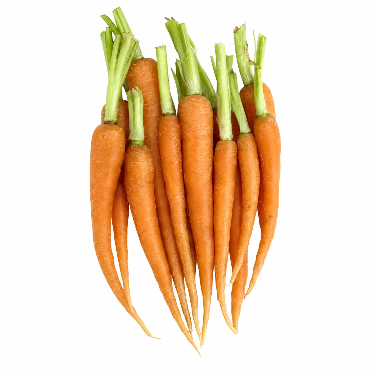 🥕🌿 MARCHEWKI BABY Z NACIĄ – 200 G