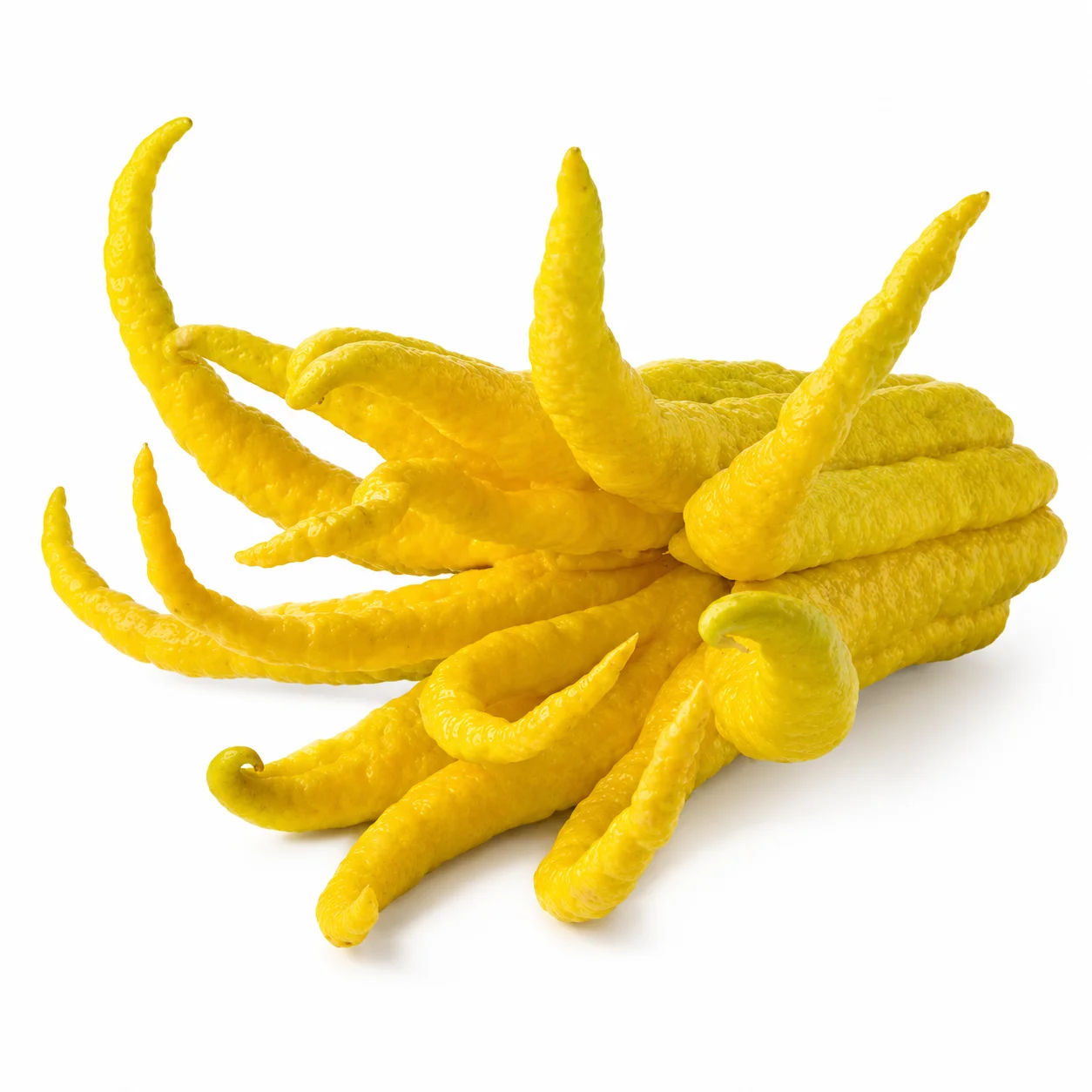 🍋🖐️ CYTRON PALCZASTY „DŁOŃ BUDDY”