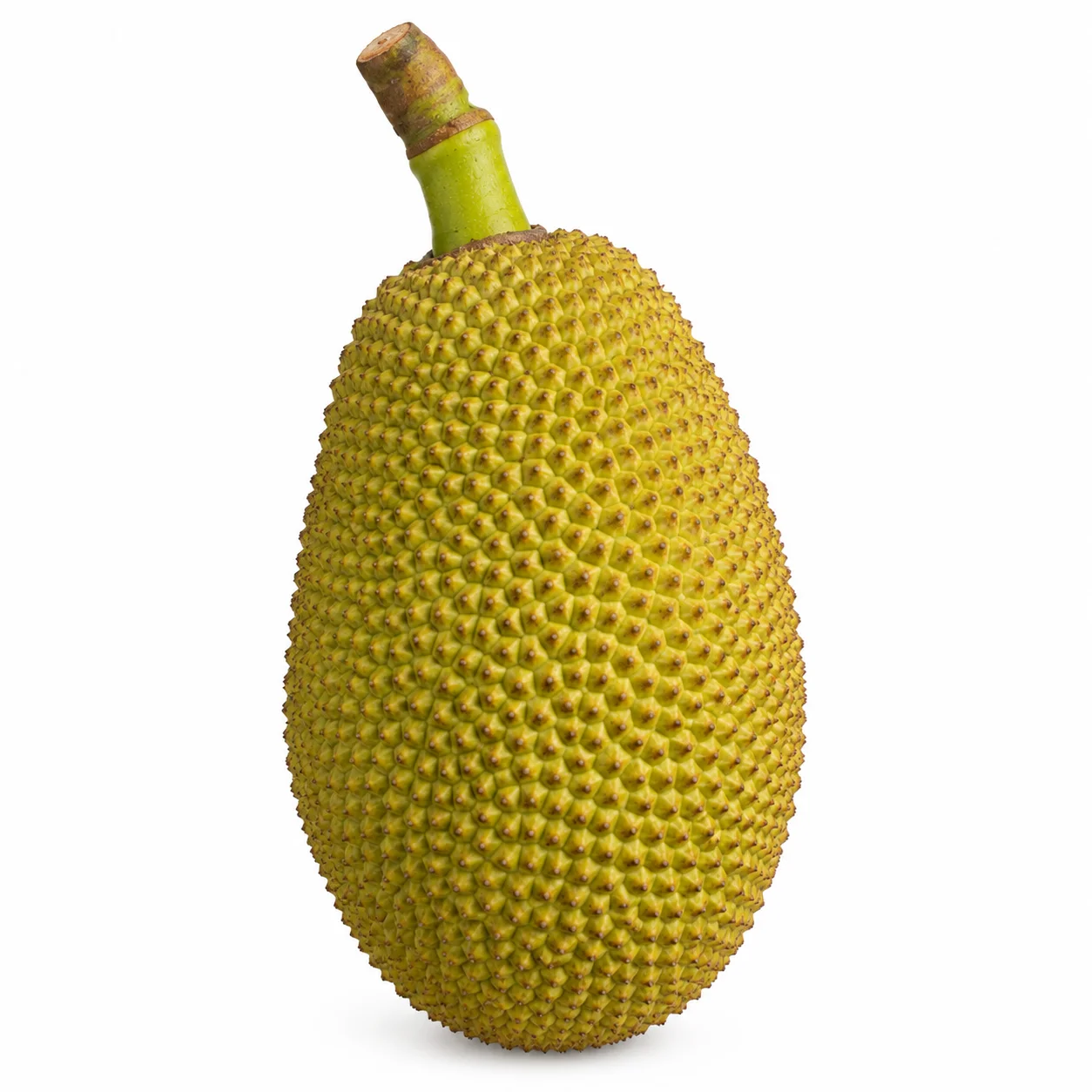 🌴💚 JACKFRUIT 11kg – CHLEBOWIEC WŁAŚCIWY 🇮🇳✨