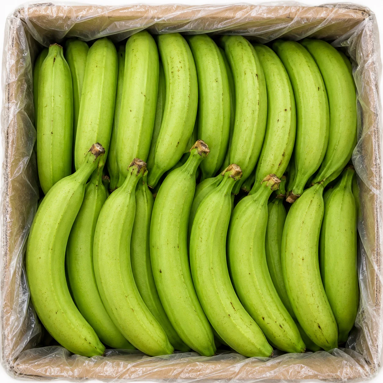 🍌🌿 BANAN PLÁTANO – 22–23 KG