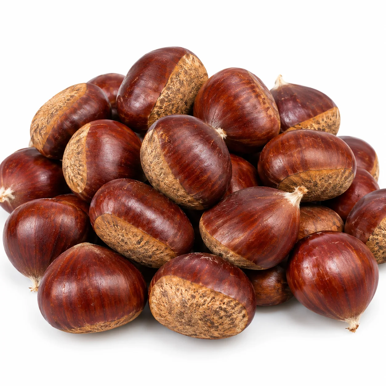 🌰✨ KASZTAN JADALNY