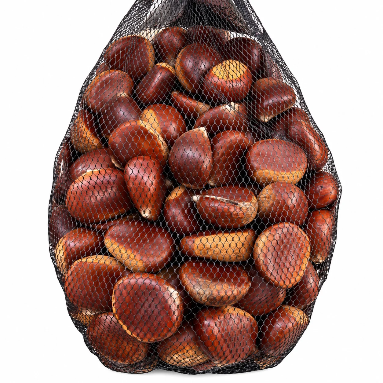 🌰✨ KASZTAN JADALNY - obrazek 2