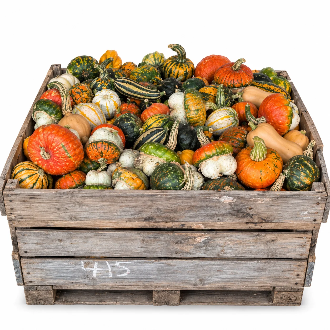 🎃✨ DYNIE OZDOBNE MIX – KOLOROWA JESIENNA DEKORACJA 400kg