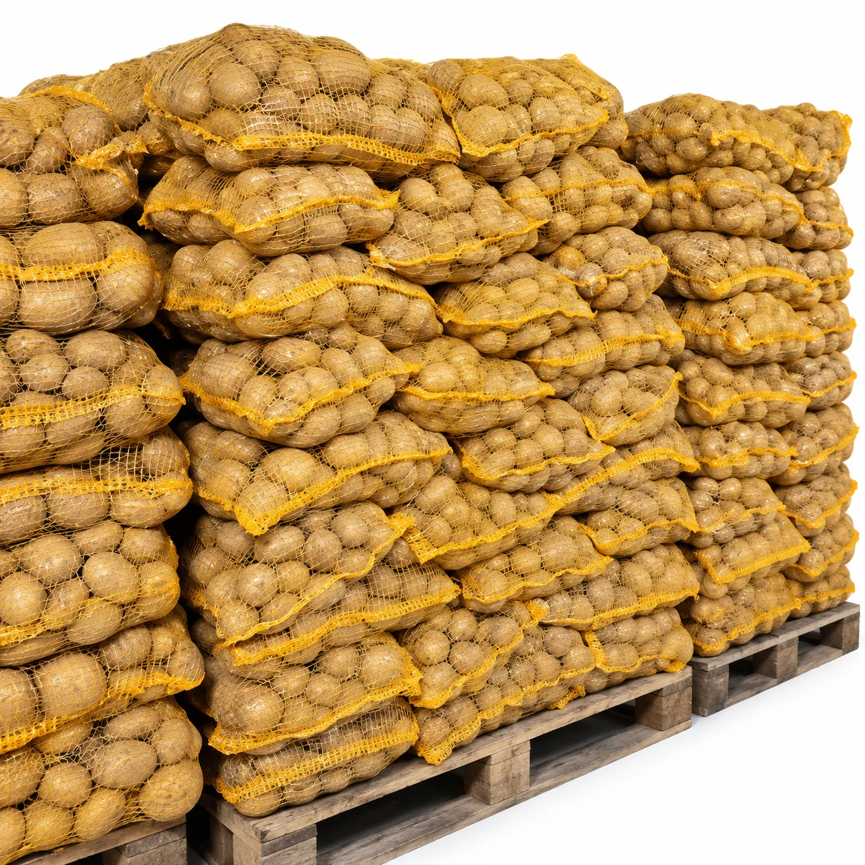 🥔✨ ZIEMNIAKI IGNACY – 35 WORKÓW PO 15 KG